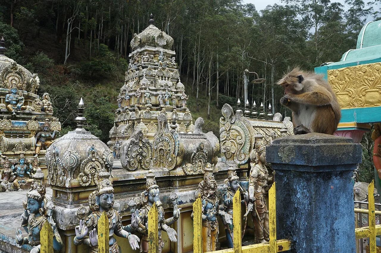 Bandarawela - Temple indou Murugan Kovil, Bandarawela Badulla District Province du Sud - Sri Lanka