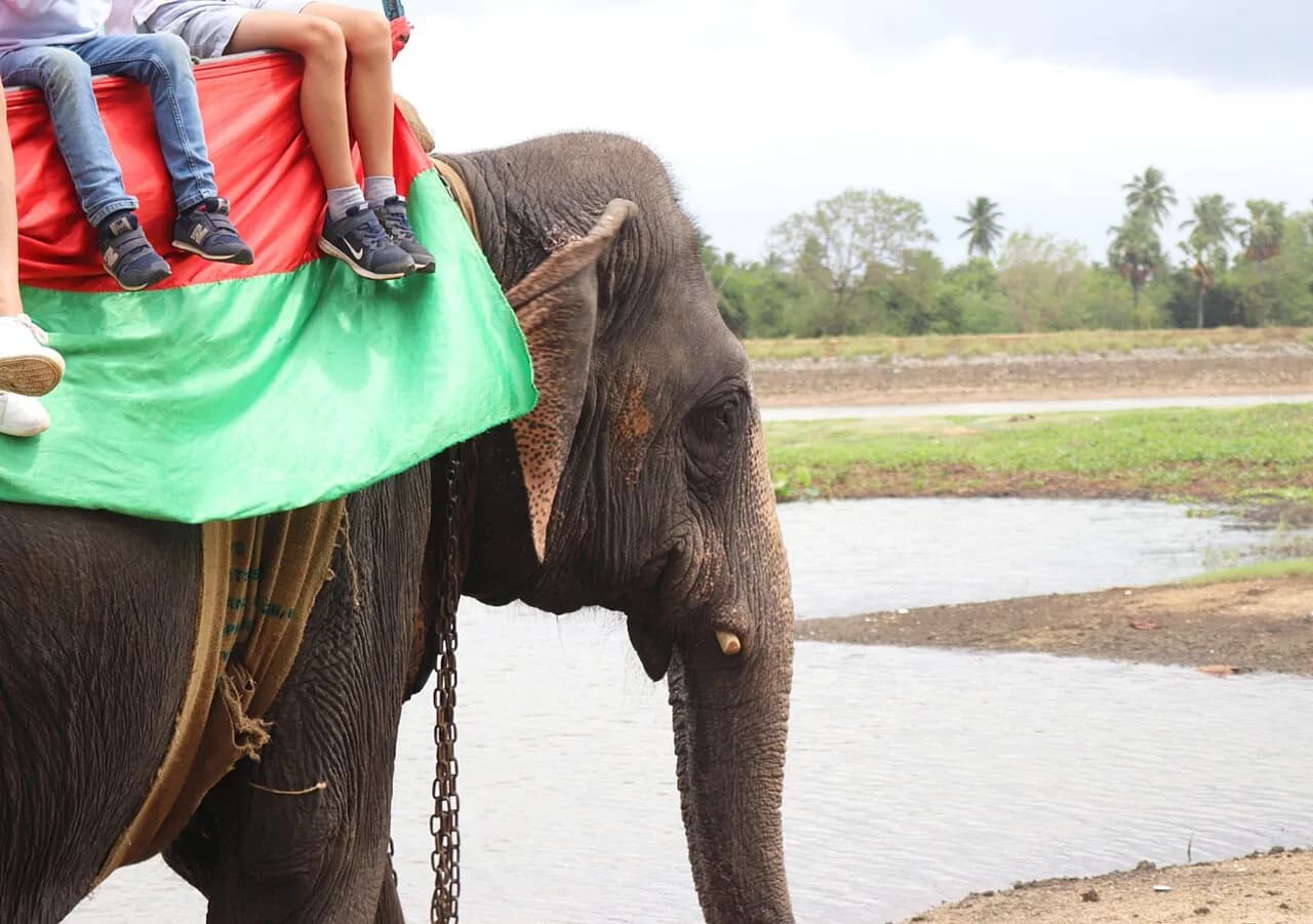 Kaudulla National Park - Habarana is the most popular location in Sri Lanka for Elephant Safari rides. Habarana is located 210km north east from Colombo and is the transit poi