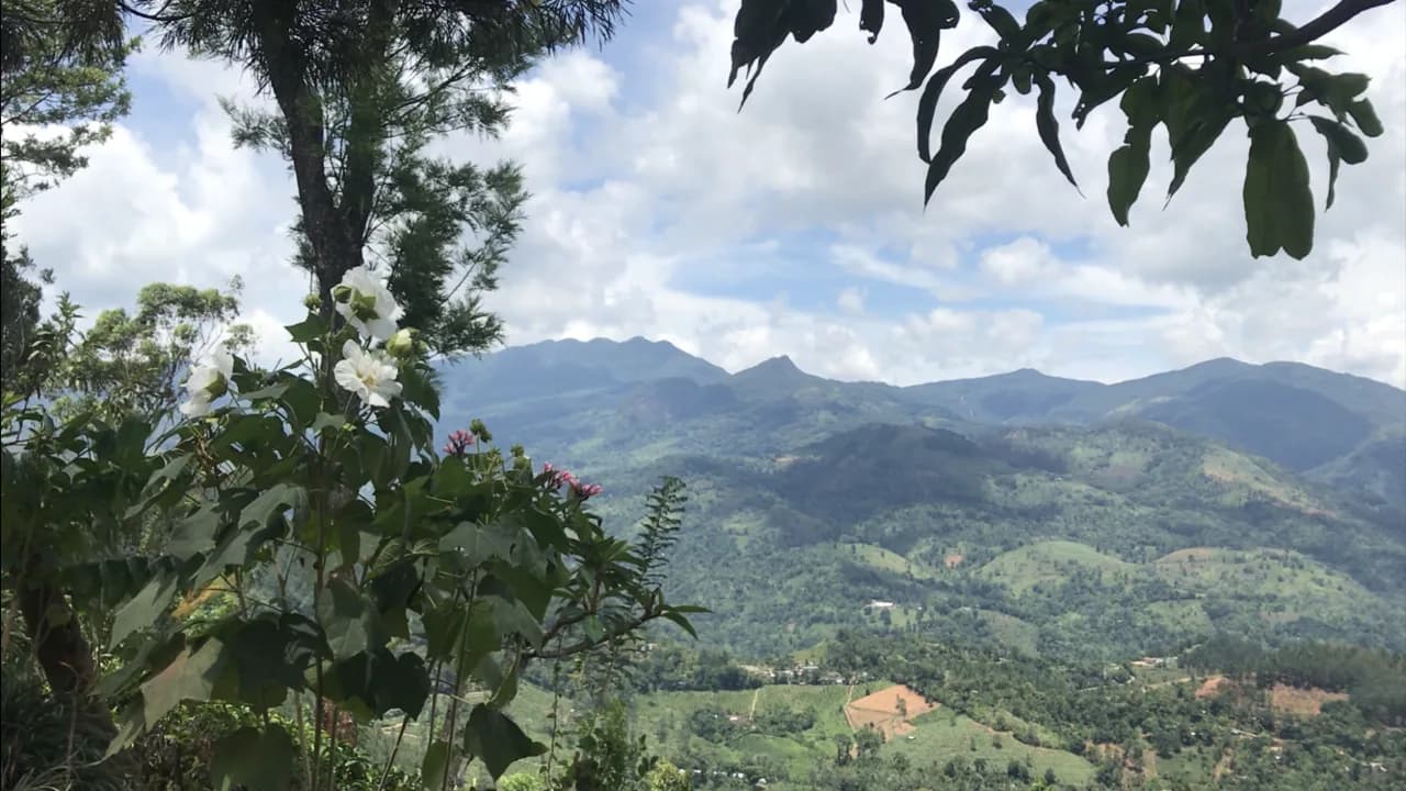 Knuckles Mountain Range - The Knuckles Mountain Range lying in the Central highlands of Sri Lanka is a popular hiking trail and is considered one of the toughest. However it’s 