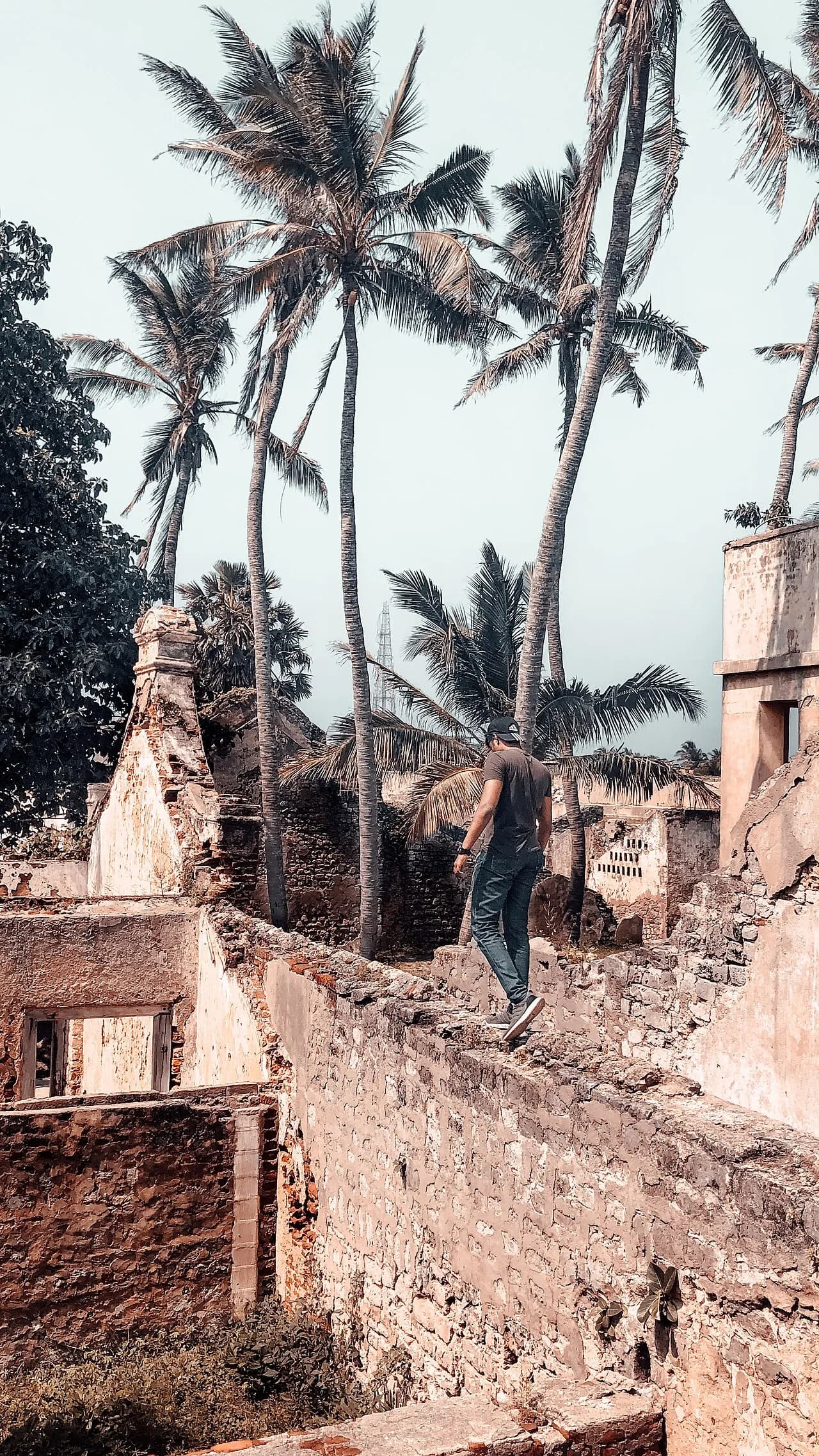 Mannar - Mannar Fort is located on Mannar Island, Sri Lanka. It was built by Portuguese in 1560. The fort fell to the Dutch in 1658, and they rebuilt the fort 