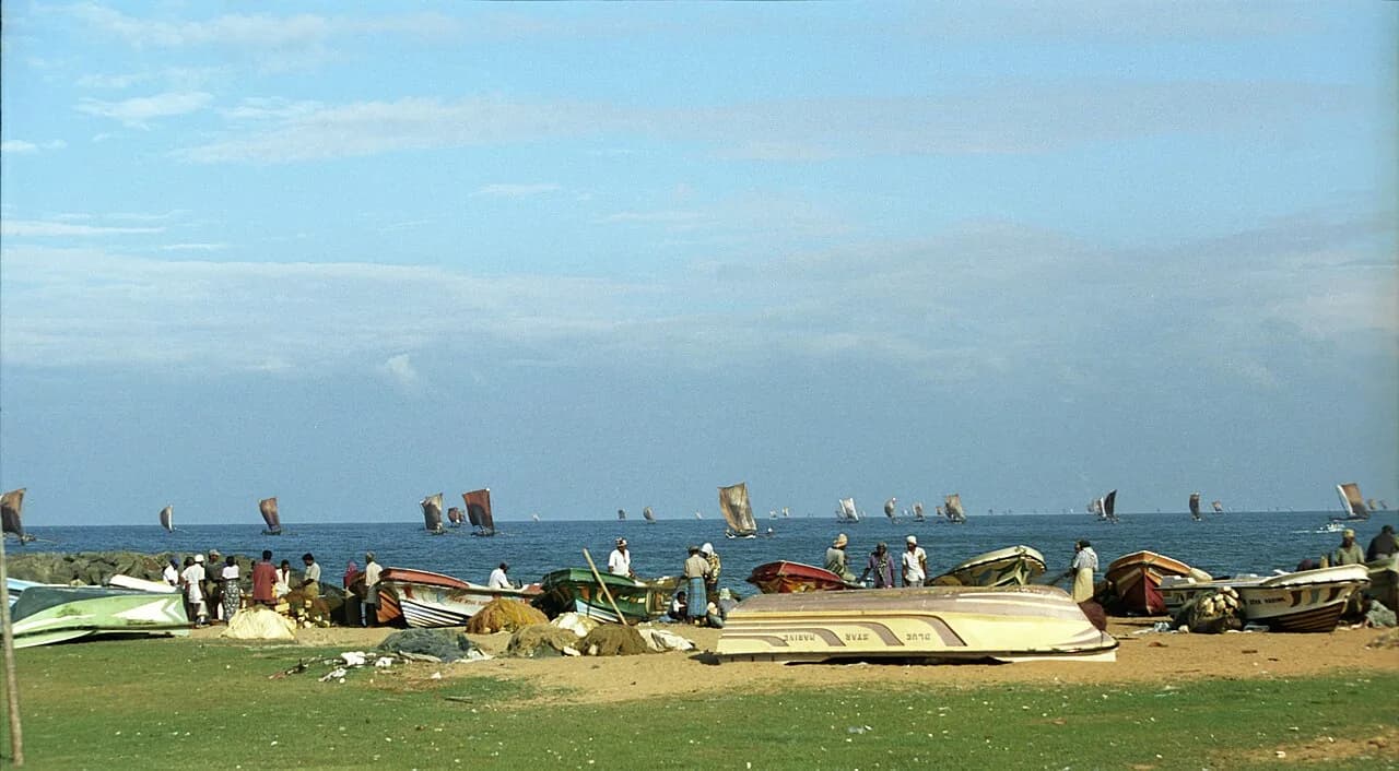 Negombo - Fishermen, Negombo, Sri Lanka