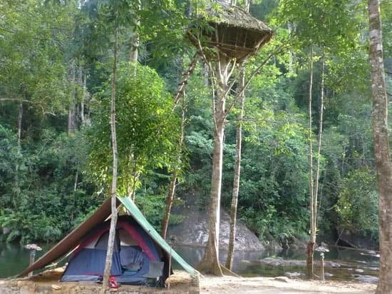 Sinharaja Forest Reserve - Adventure resort of Sinharaja Rainforest.Sinharaja Forest Reserve is a forest reserve and a biodiversity hotspot in Sri Lanka. It is of international 
