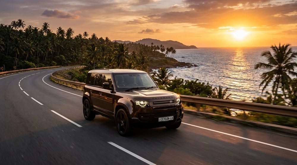 Car Rental (Self-Drive & Chauffeur)