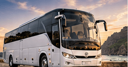 Luxury Mini Coach (Toyota Coaster / Rosa)